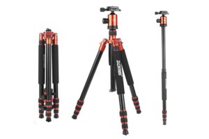 Read more about the article 3 Zomei Tripods for Professional Photography