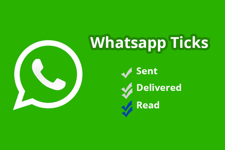 You are currently viewing Whatsapp Ticks (Check Marks): Everything You Should Know