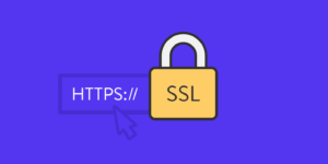 Read more about the article Important SSL Certificate Information You Should Know
